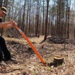 From Stump to Mulch: The Benefits of Professional Stump Grinding Services